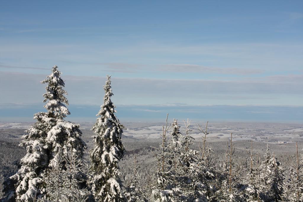 Appartements Gahler - Kurort Oberwiesenthal Zewnętrze zdjęcie